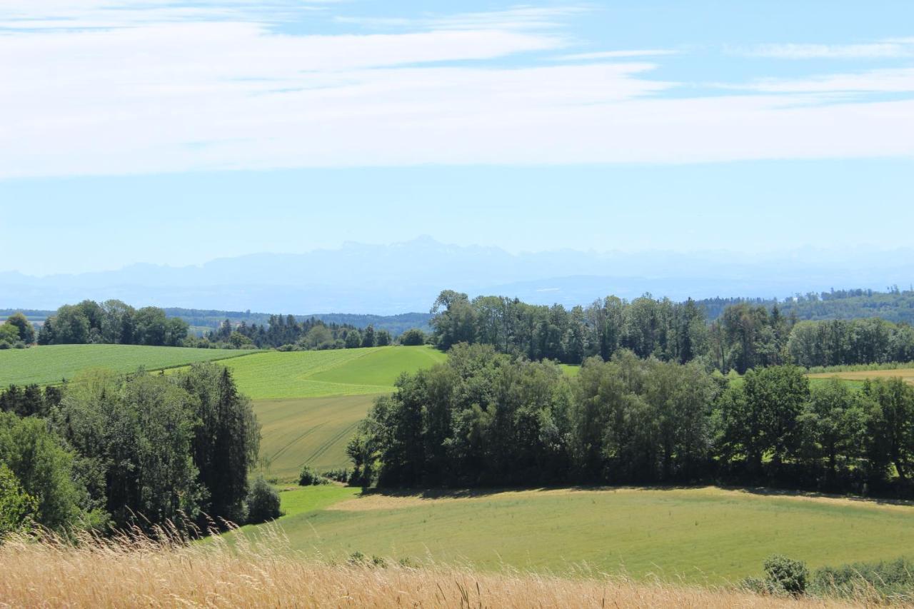 Zum Hohlenstein *